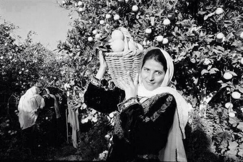 780-520000YAFFA orangejq (1).jpg.jpg.jpg